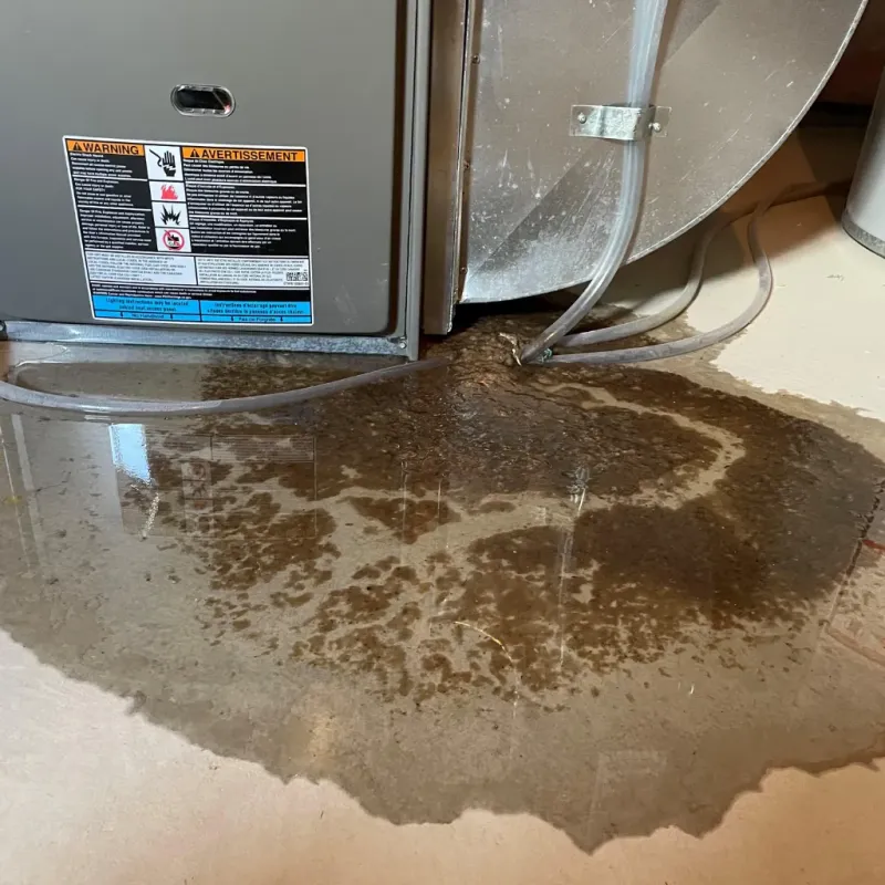 Appliance Leak Cleanup in Boone, NC